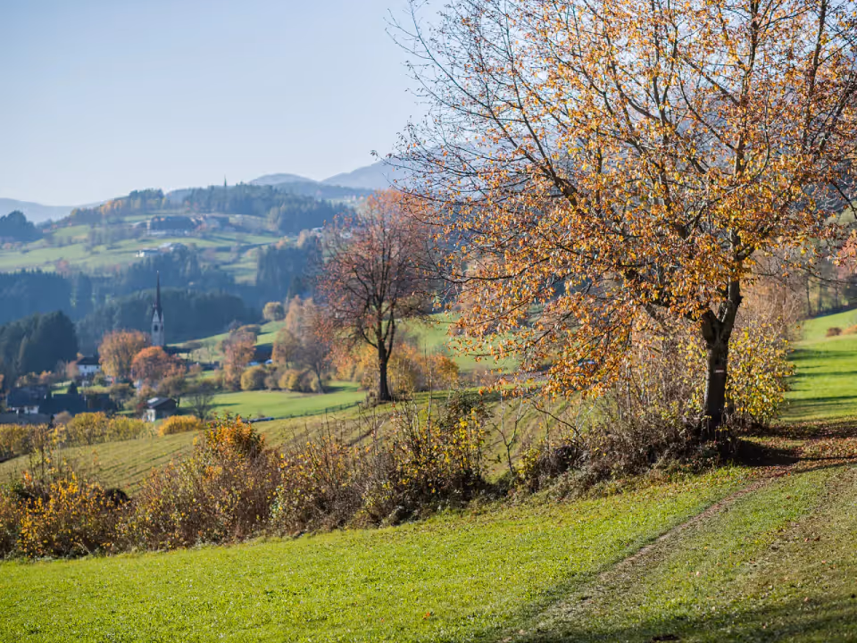 The sunny slope of Pfalzen on the Honigberg Trail, the Puster Valley beyond