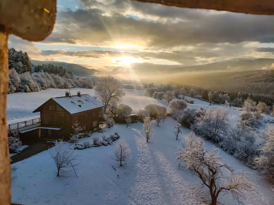 Scenes from the Ansitz 4
